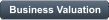Business Valuation